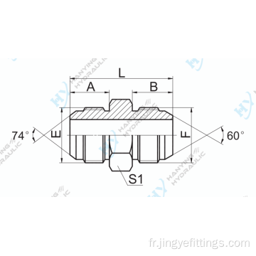 Mâle jic 74 / jis métrique mâle 60